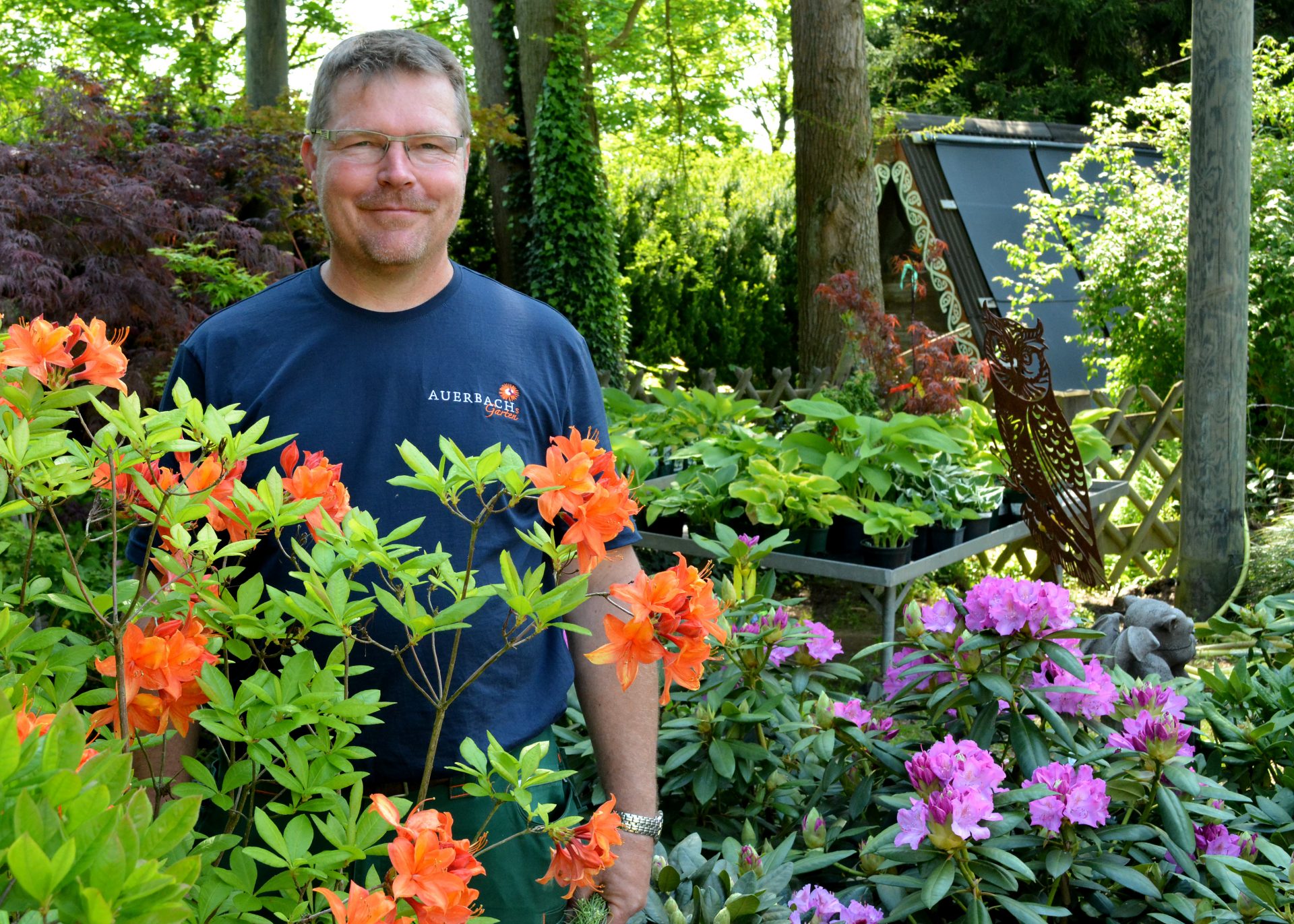 46+ schön Bild Auerbachs Garten / 50 Jahre â€žGarten-Stil-Lebenâ€œ - Auerbachs Garten. / Garten & pflanzen in auerbach.